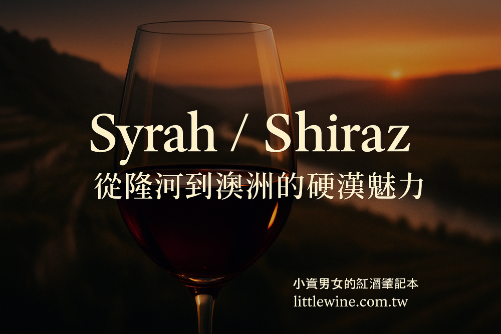 Syrah / Shiraz 深度解析｜從法國隆河到澳洲巴羅莎，葡萄酒界的「硬漢」魅力